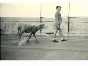 LA JEUNE FRANCE ORAN PAR RENE PONS  (348)